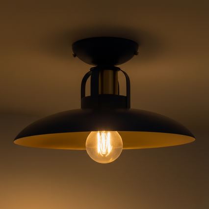 Brilagi - LED Bevestigde hanglamp FLAMENGO 1xE27/60W/230V blauw