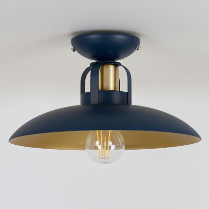 Brilagi - LED Bevestigde hanglamp FLAMENGO 1xE27/60W/230V blauw