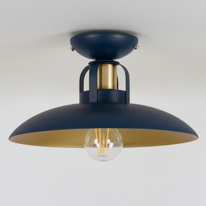 Brilagi - LED Bevestigde hanglamp FLAMENGO 1xE27/60W/230V blauw