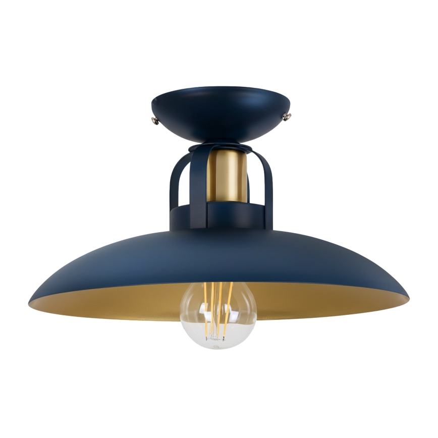 Brilagi - LED Bevestigde hanglamp FLAMENGO 1xE27/60W/230V blauw