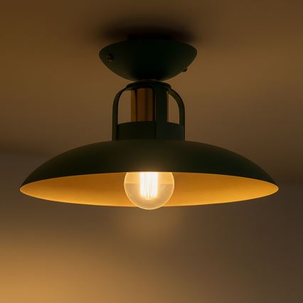 Brilagi - LED Bevestigde hanglamp FLAMENGO 1xE27/60W/230V groen