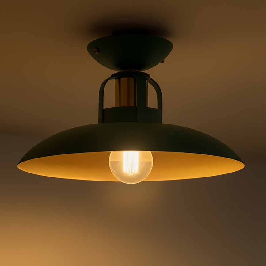 Brilagi - LED Bevestigde hanglamp FLAMENGO 1xE27/60W/230V groen