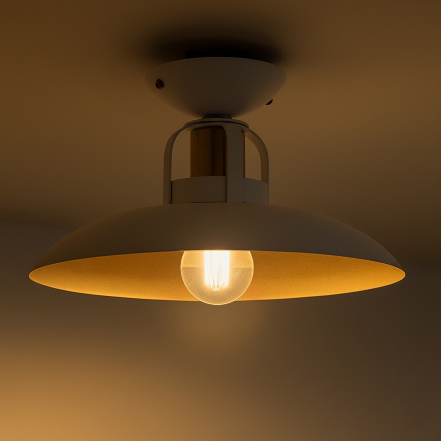 Brilagi - LED Bevestigde hanglamp FLAMENGO 1xE27/60W/230V wit