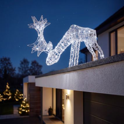 BRILAGI - LED buiten kerstdecoratie LED/1,5W/230V IP44 73x47 cm rendier
