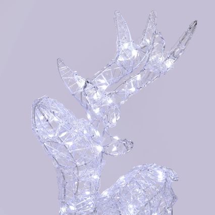 BRILAGI - LED Buiten kerstdecoratie LED/3,3W/230V IP44 60x37 cm rendier