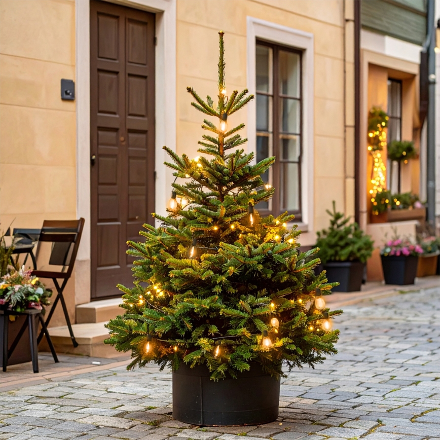 Brilagi - LED buiten kerstslinger 10xLED/3xAA 3,2m IP44 warm wit