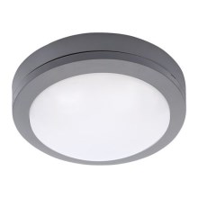 Brilagi - LED Buiten plafondlamp LED / 13W / 230V IP54