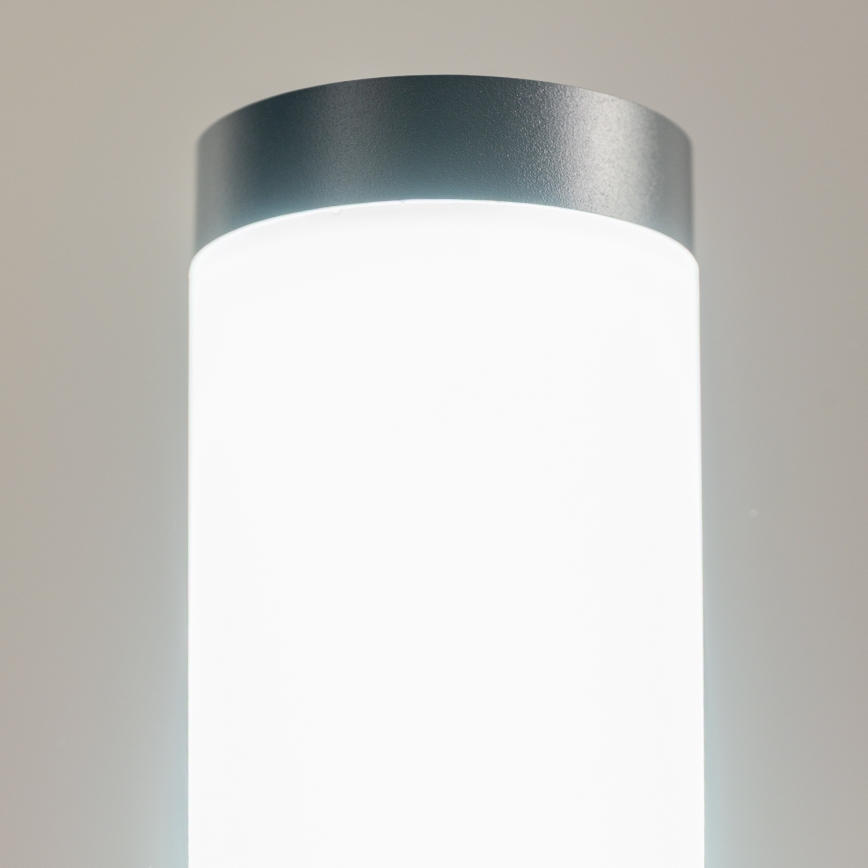 BRILAGI - LED-buitenlamp ELIA 1xE27/7W/230V 4000K IP44 100 cm antraciet