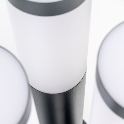 BRILAGI - LED Buitenlamp ELIA 1xE27/7W/230V 4000K IP44 50 cm antraciet