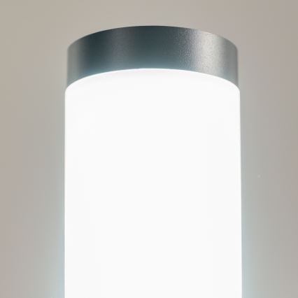 BRILAGI - LED buitenlamp met stopcontact ELIA 1xE27/7W/230V 4000K IP44 50 cm antraciet