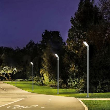 Brilagi - URBANLIGHT LED straatlantaarn voor buiten met 3 m paal en scharnier LED/50W/230V, grijs, IP65