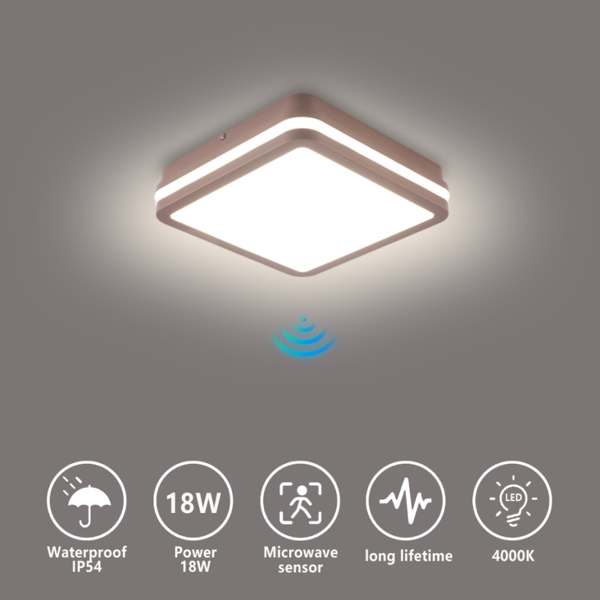Brilagi - LED buitenplafondlamp met sensor BENE LED/18W/230V 21,5x21,5 cm bruin IP54