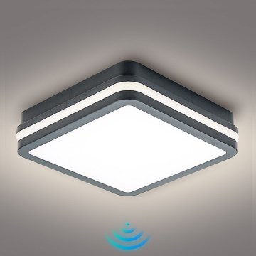 Brilagi - LED Buitenlamp met sensor BENE LED/18W/230V 22x22 cm antraciet IP54