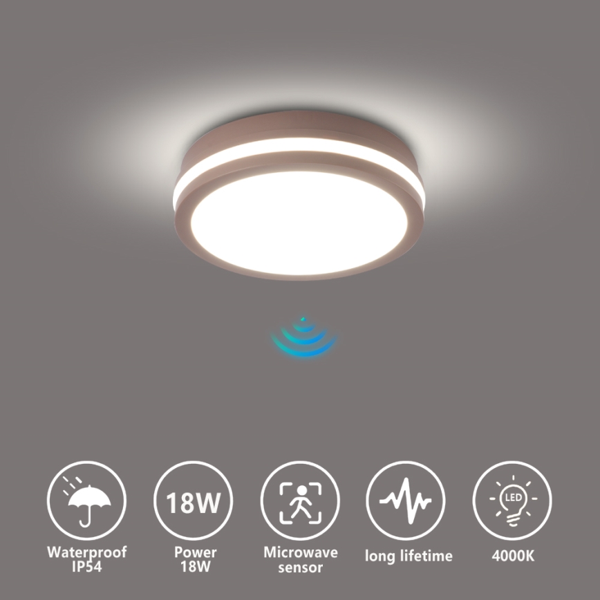 Brilagi - LED plafondlamp voor buiten met sensor BENE LED/18W/230V pr. 21,5 cm bruin IP54