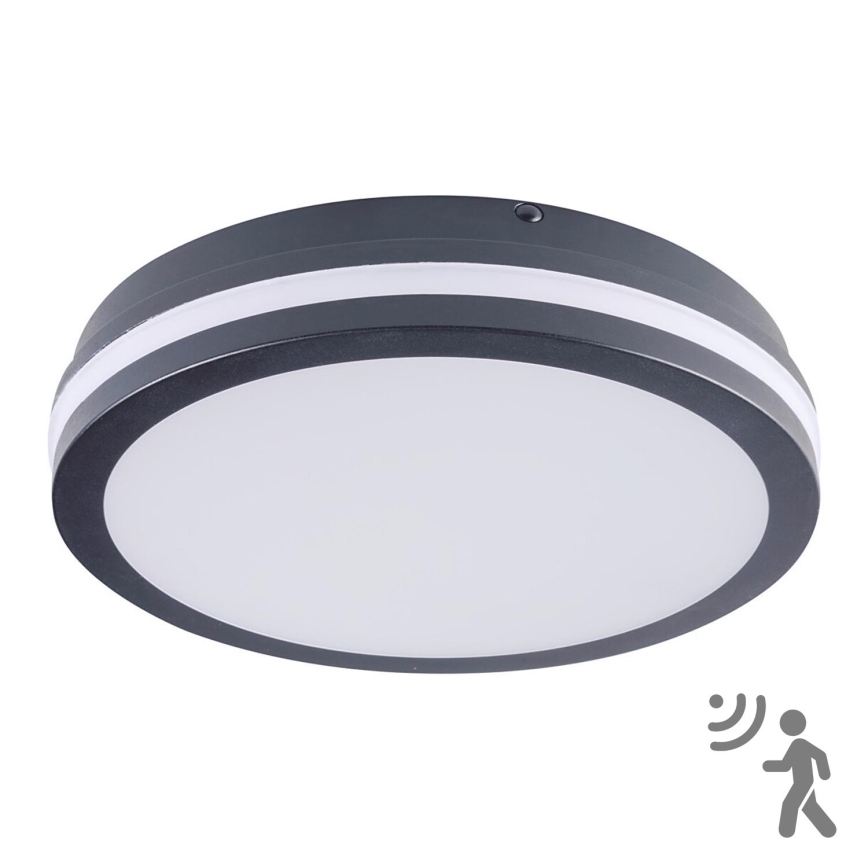 Brilagi - LED-buitenlamp met sensor BENE LED/24W/230V Ø 26 cm antraciet IP54