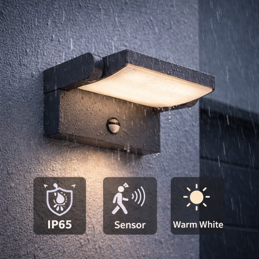 BRILAGI - LED buitenmuurlamp met bewegings- en schemersensor ANKLE LED/12W/230V IP65 zwart