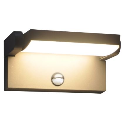 BRILAGI - LED buitenmuurlamp met bewegings- en schemersensor ANKLE LED/12W/230V IP65 zwart