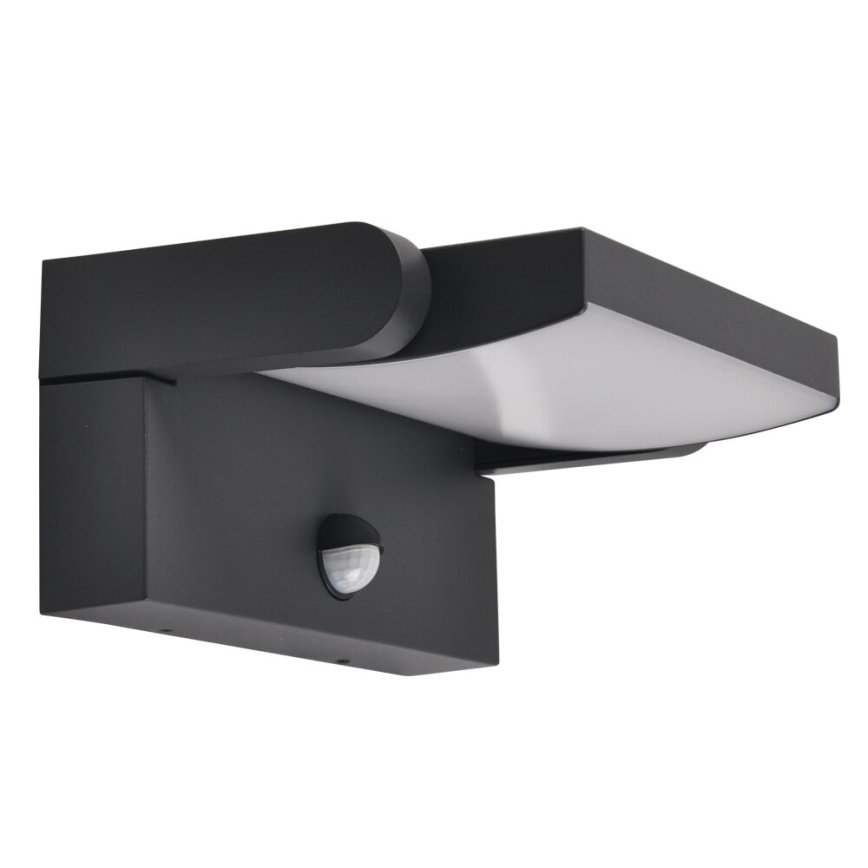 BRILAGI - LED buitenmuurlamp met bewegings- en schemersensor ANKLE LED/12W/230V IP65 zwart