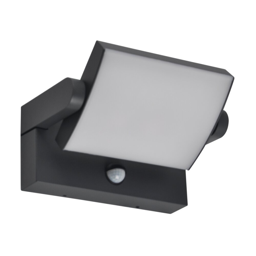 BRILAGI - LED buitenmuurlamp met bewegings- en schemersensor ANKLE LED/12W/230V IP65 zwart