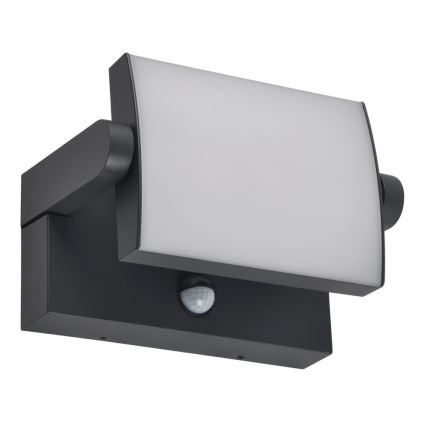 BRILAGI - LED buitenmuurlamp met bewegings- en schemersensor ANKLE LED/12W/230V IP65 zwart