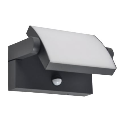 BRILAGI - LED buitenmuurlamp met bewegings- en schemersensor ANKLE LED/12W/230V IP65 zwart