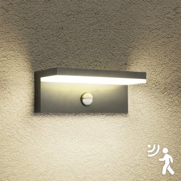 Brilagi - LED buitenmuurlamp met sensor TESSI LED/10W/230V antraciet IP54