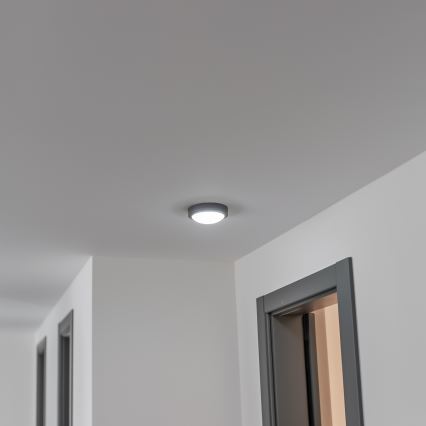 Brilagi - LED Buitenplafondlamp LED/13W/230V Ø 17 cm IP54 antraciet