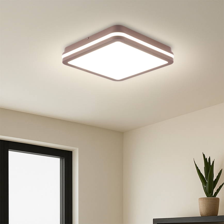 Brilagi - LED buitenplafondlamp BENE LED/24W/230V 26x26 cm bruin IP54