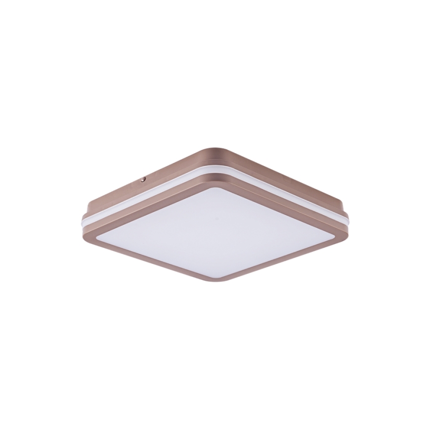 Brilagi - LED buitenplafondlamp BENE LED/24W/230V 26x26 cm bruin IP54