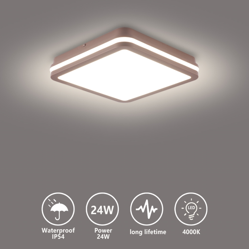 Brilagi - LED buitenplafondlamp BENE LED/24W/230V 26x26 cm bruin IP54