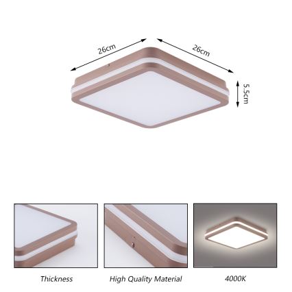 Brilagi - LED buitenplafondlamp BENE LED/24W/230V 26x26 cm bruin IP54