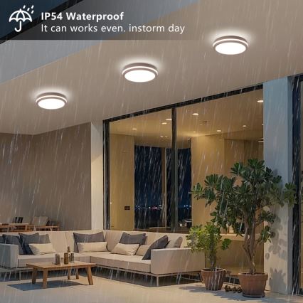 Brilagi - LED buitenplafondlamp BENE LED/24W/230V Ø 26 cm bruin IP54