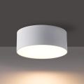 BRILAGI - LED buitenplafondlamp FORIS LED/14W/230V pr. 12 cm wit IP44