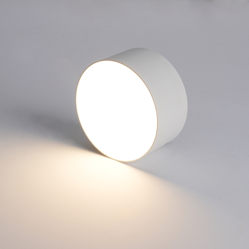 BRILAGI - LED buitenplafondlamp FORIS LED/14W/230V pr. 12 cm wit IP44