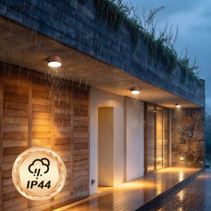 BRILAGI - LED Buitenplafondlamp FORIS LED/14W/230V Ø 12 cm brons IP44