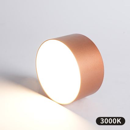 BRILAGI - LED Buitenplafondlamp FORIS LED/14W/230V Ø 12 cm brons IP44