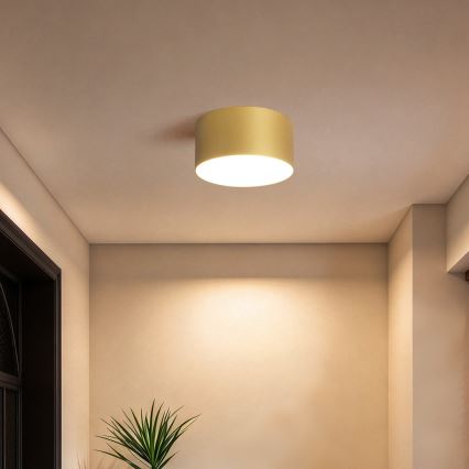 BRILAGI - LED Buitenplafondlamp FORIS LED/14W/230V Ø 12 cm goudkleurig IP44