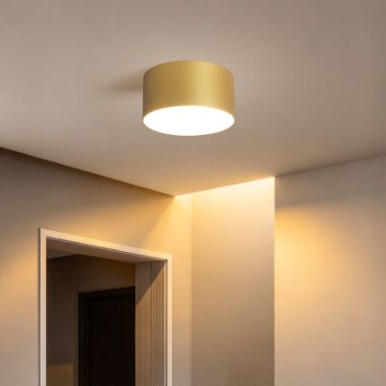 BRILAGI - LED Buitenplafondlamp FORIS LED/14W/230V Ø 12 cm goudkleurig IP44