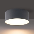 BRILAGI - LED buitenplafondlamp FORIS LED/20W/230V Ø 15 cm antraciet IP44