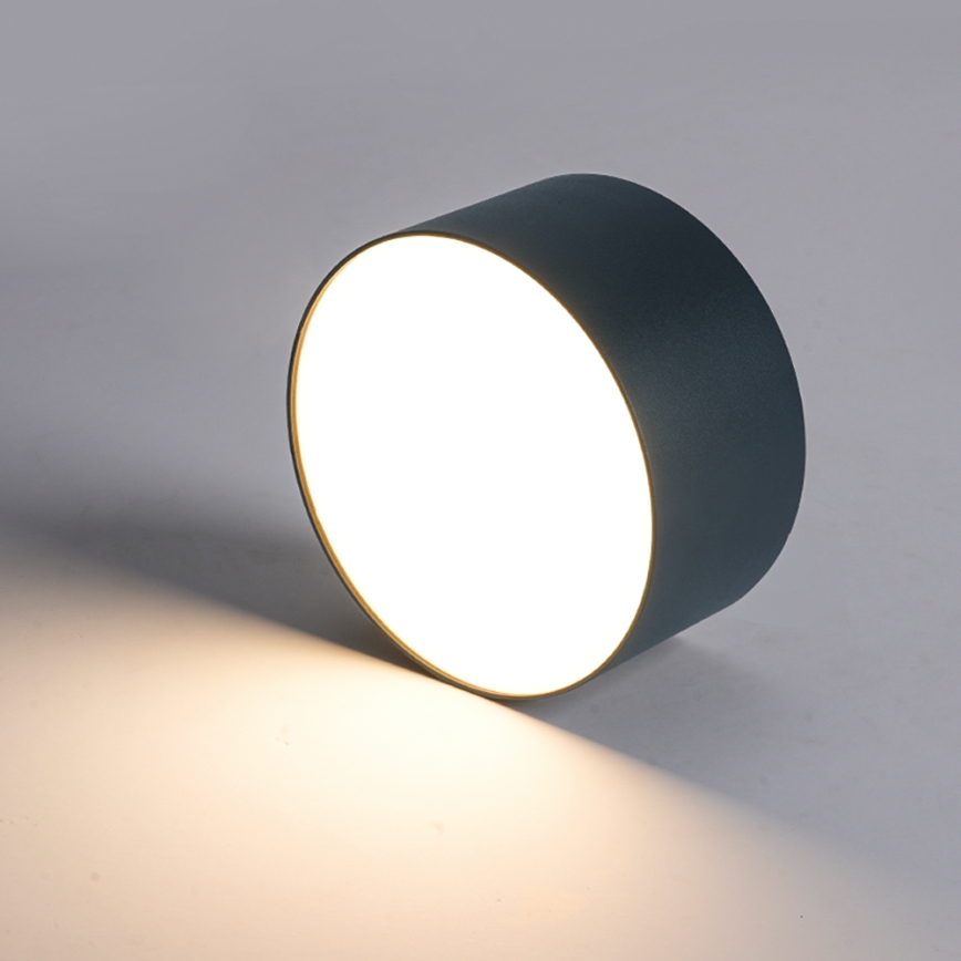 BRILAGI - LED buitenplafondlamp FORIS LED/20W/230V Ø 15 cm antraciet IP44