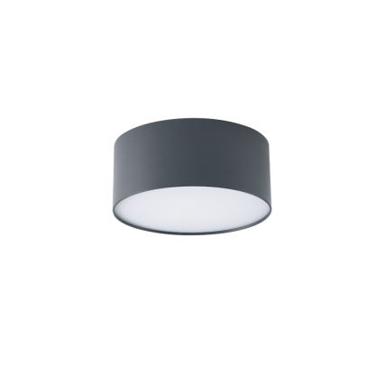BRILAGI - LED buitenplafondlamp FORIS LED/20W/230V Ø 15 cm antraciet IP44