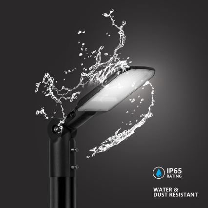BRILAGI - LED buitenstraatlamp URBANLIGHT LED/50W/230V zwart IP65