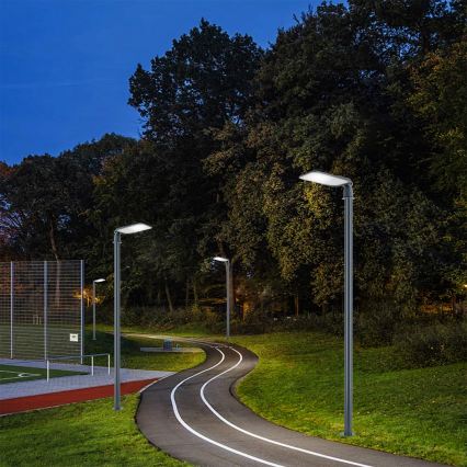 Brilagi - LED buitenstraatlamp met verstelbaar scharnier URBANLIGHT LED/100W/230V antraciet IP65