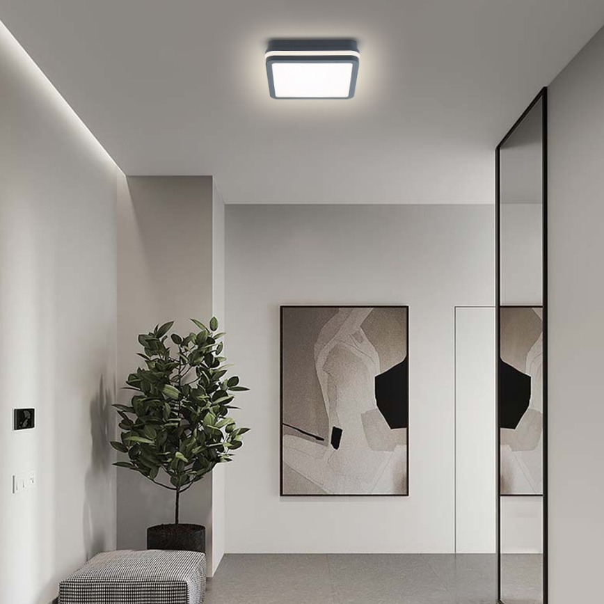 Brilagi - LED Buitenverlichting BENE LED/18W/230V 22x22 cm antraciet IP54