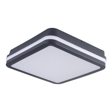 Brilagi - LED Buitenverlichting BENE LED/24W/230V 26x26 cm antraciet IP54