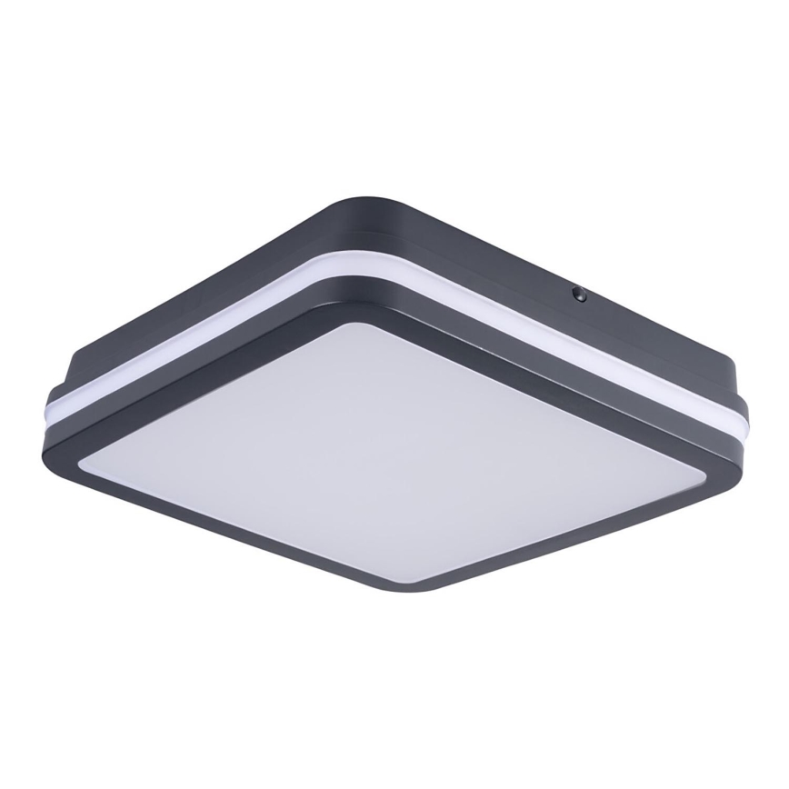 Brilagi - LED Buitenverlichting BENE LED/24W/230V 26x26 cm antraciet IP54