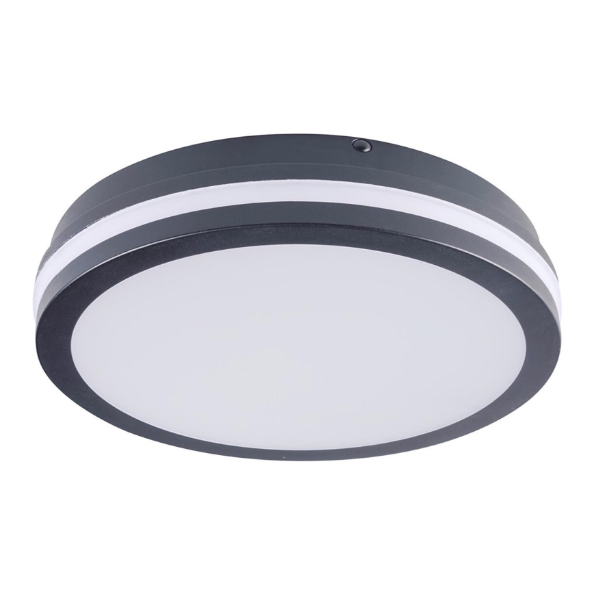 Brilagi - LED Buitenverlichting BENE LED/24W/230V diameter 26 cm antraciet IP54