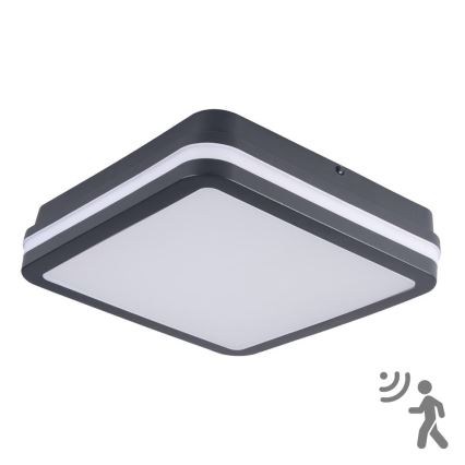 Brilagi - LED Buitenverlichting met sensor BENE LED/18W/230V 22x22 cm antraciet IP54