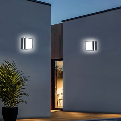 Brilagi - LED Buitenverlichting met sensor BENE LED/18W/230V 22x22 cm antraciet IP54