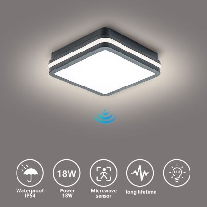 Brilagi - LED Buitenverlichting met sensor BENE LED/18W/230V 22x22 cm antraciet IP54